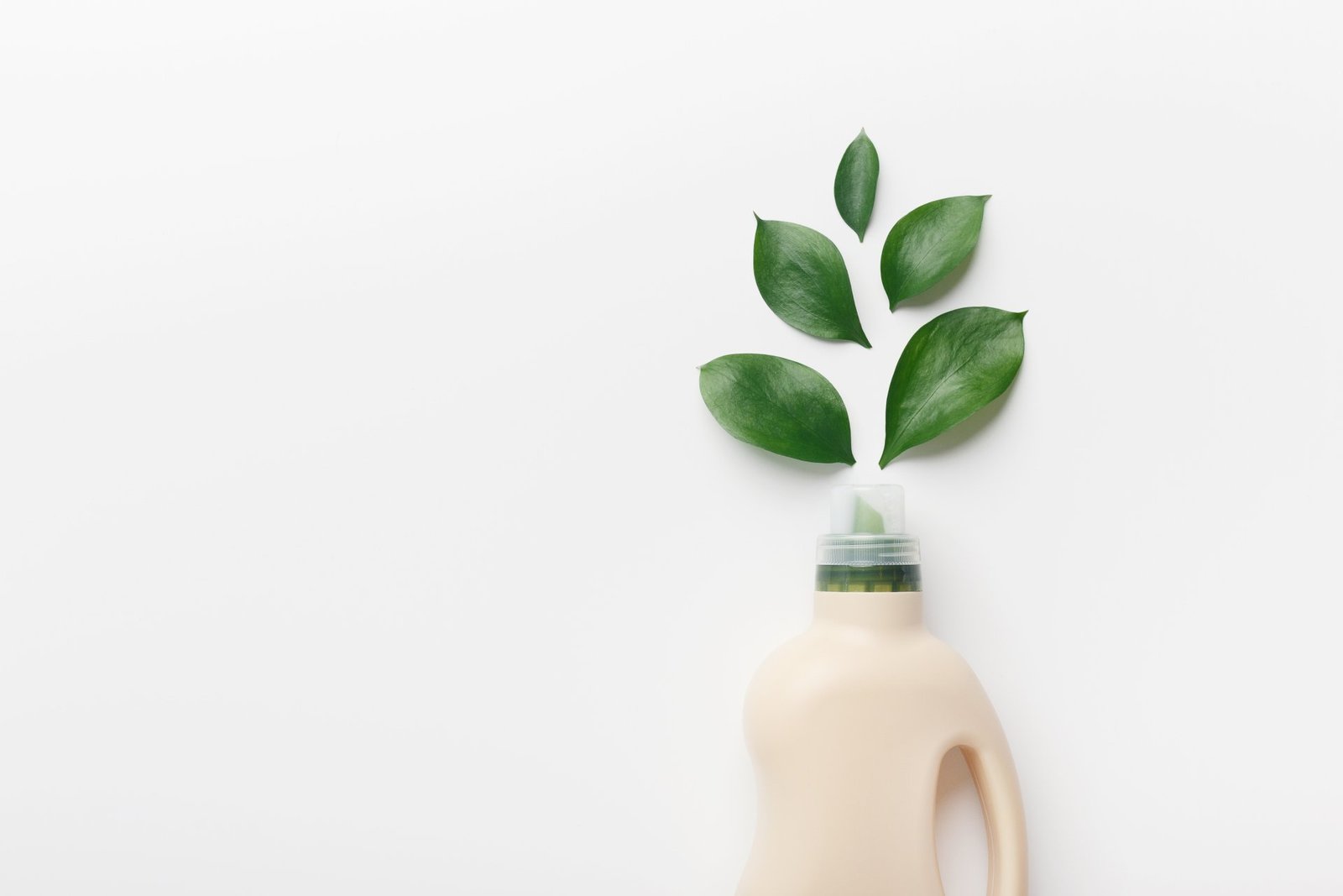 Best Eco-Friendly Cleaners for Offices