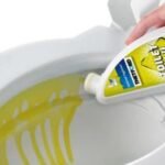 Chemical-Free Toilet Bowl Cleaners