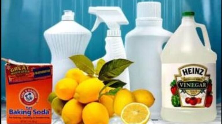 DIY Eco-Friendly Cleaning Solutions for Every Room