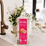 Eco-Friendly Dishwashing Solutions