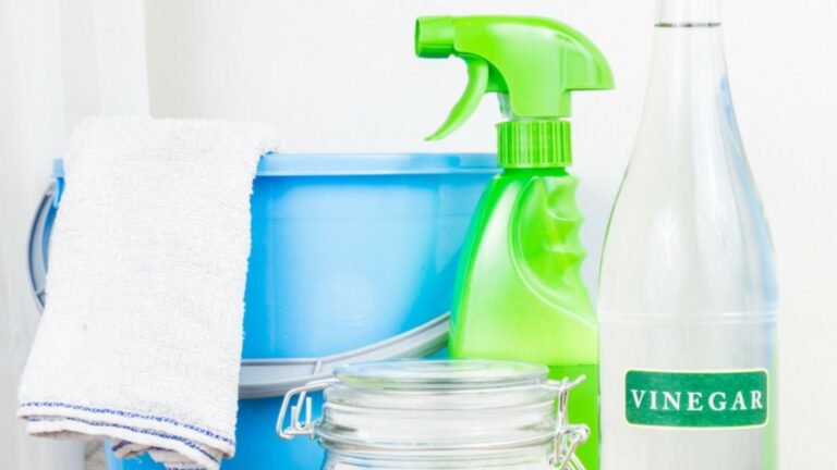 Green Cleaning Hacks with Vinegar