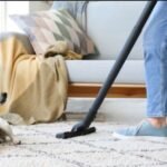 Green Cleaning Tips for Pet Owners