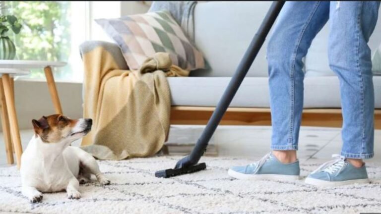 Green Cleaning Tips for Pet Owners