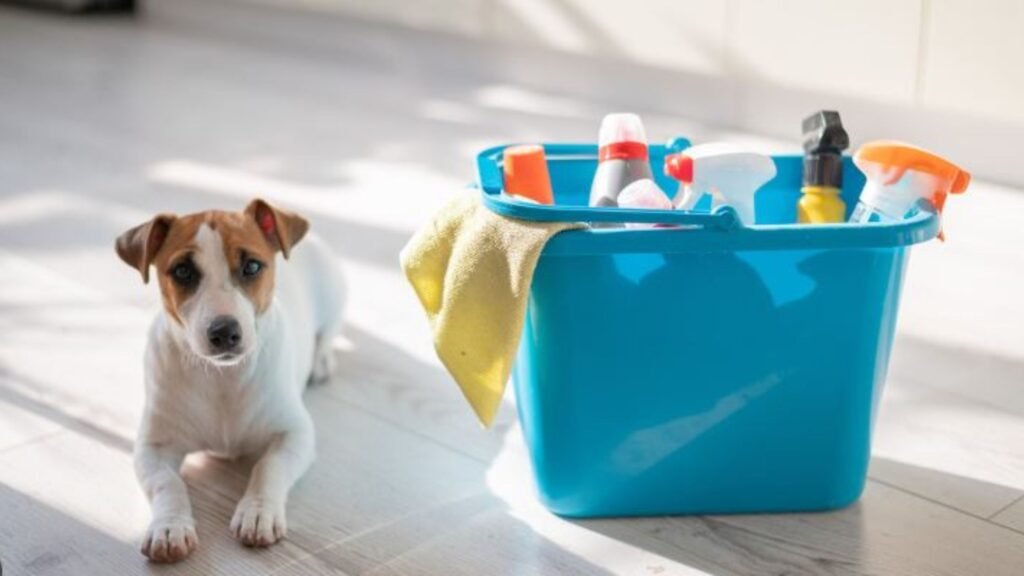 Green Cleaning Tips for Pet Owners.