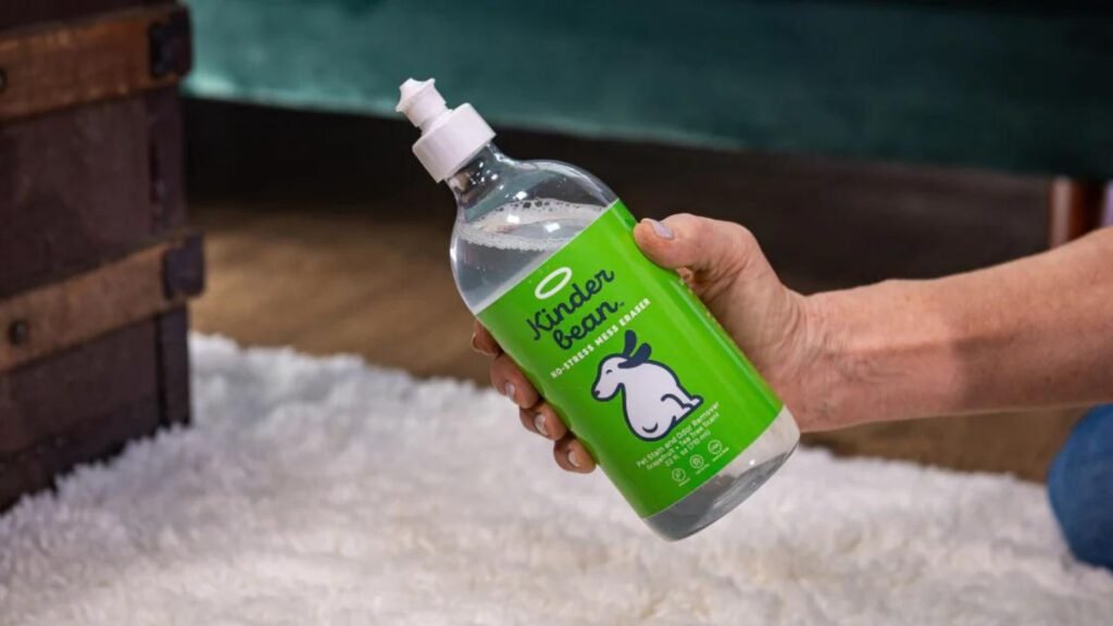 The Best Eco-Friendly Products for Cleaning Pet Messes