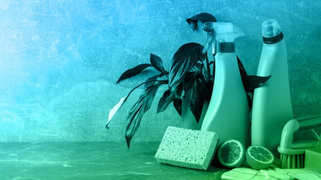 The Future of Sustainable Cleaning Products Trends to Watch